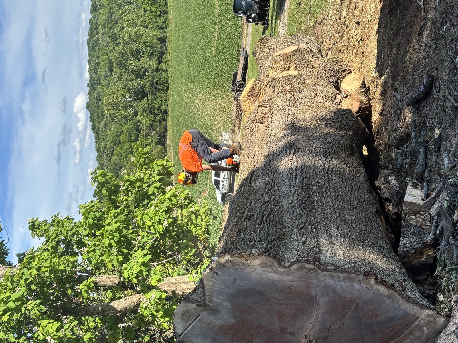 Tree Wizz crew member cutting a large downed trunk at the roadside