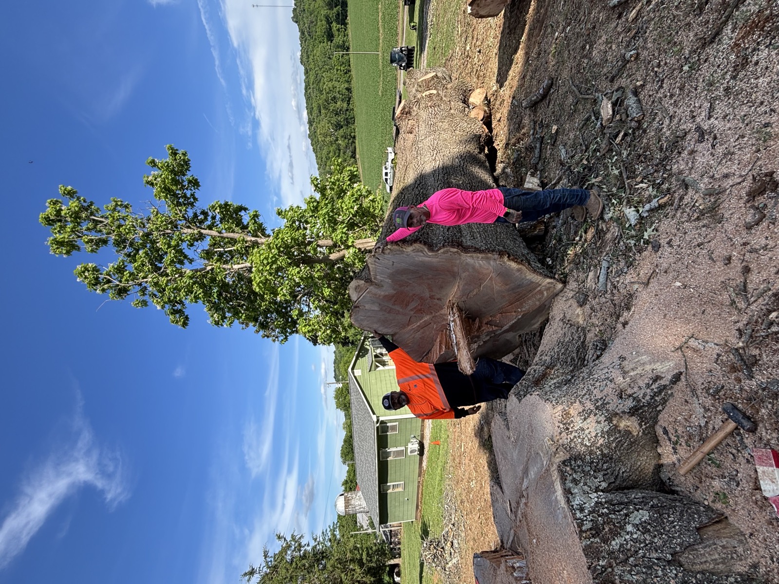 Tree Wizz crew standing beside an oversized felled trunk