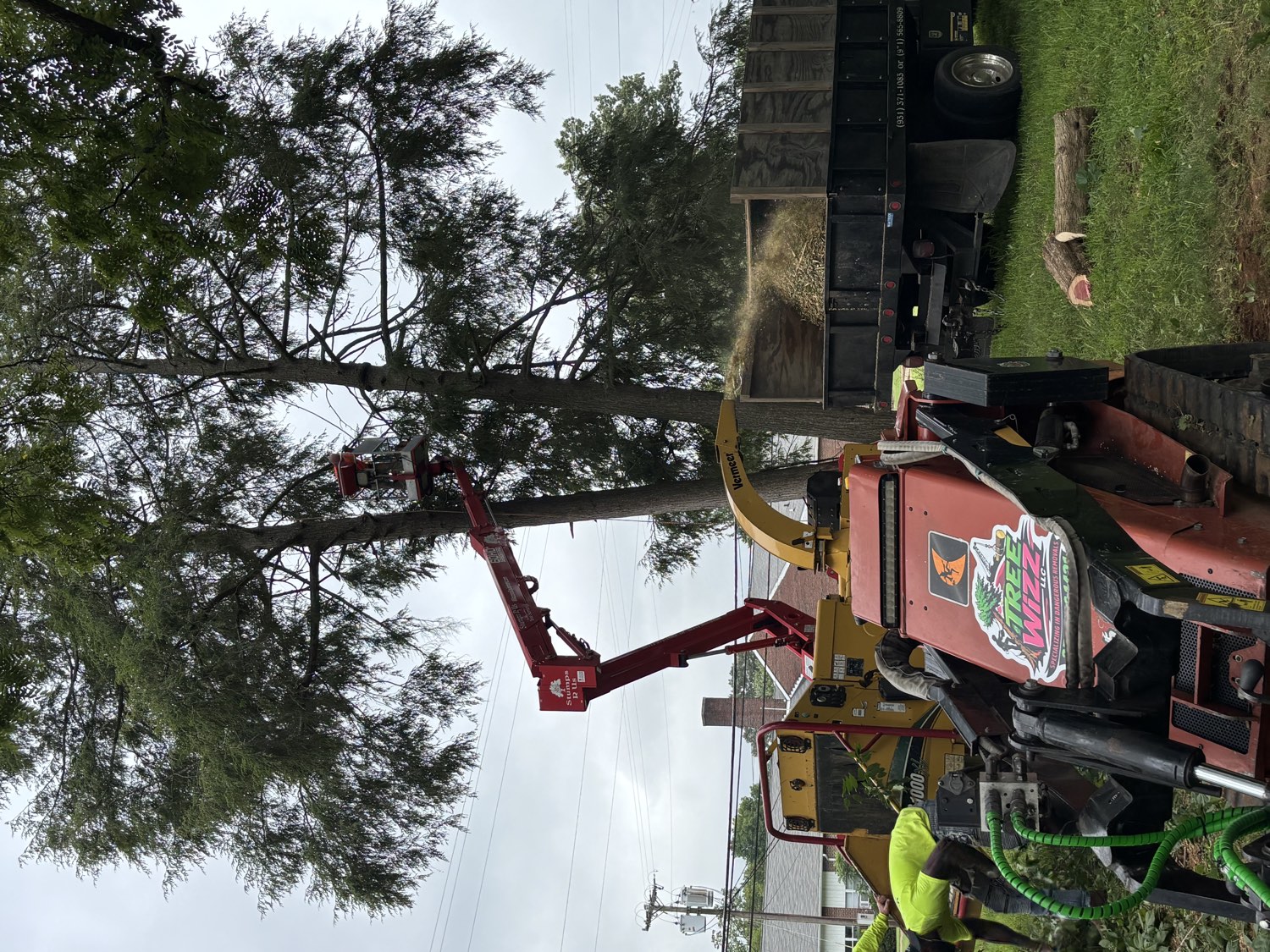 Tree Wizz chipper and dump truck clearing debris from a job site