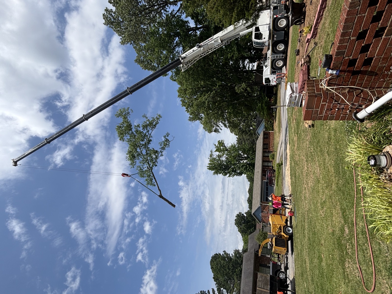 Crane lifting a tree section clear of a house