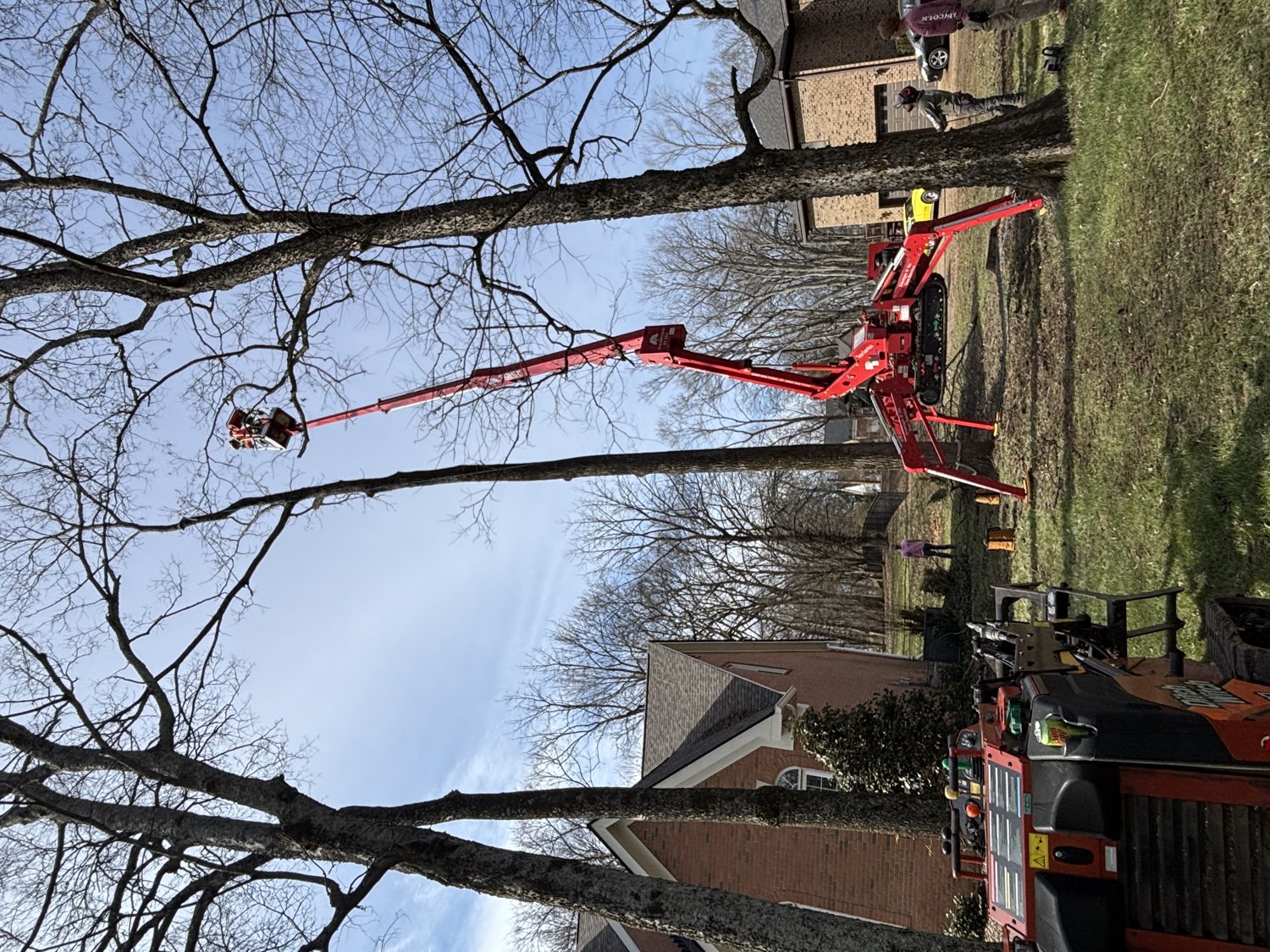 Tree Wizz spider lift extended into a tall tree over a Decatur home